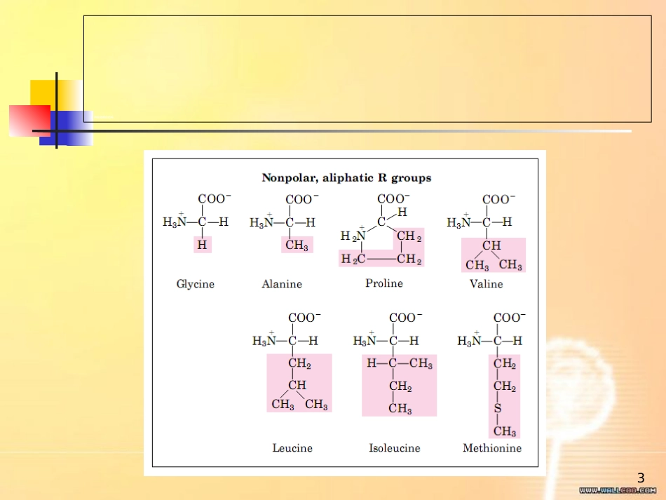 生物化学 第二章 蛋白质化学[共59页]_第3页