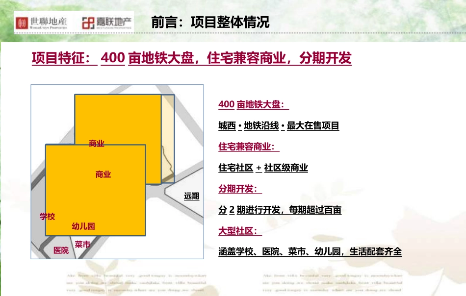 世联顾问-2013年1月成都建工·天府西城2013年年度营销总纲[共98页]_第3页