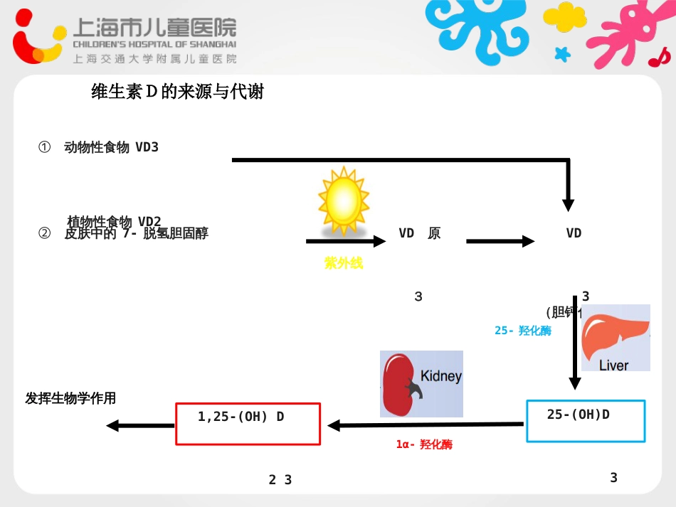 维生素D与内分泌疾病[共31页]_第3页