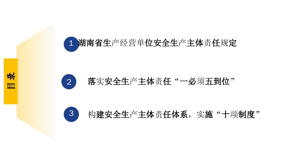 某省生产经营单位安全生产主体责任规定[共47页]_第1页