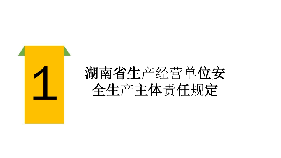 某省生产经营单位安全生产主体责任规定[共47页]_第2页