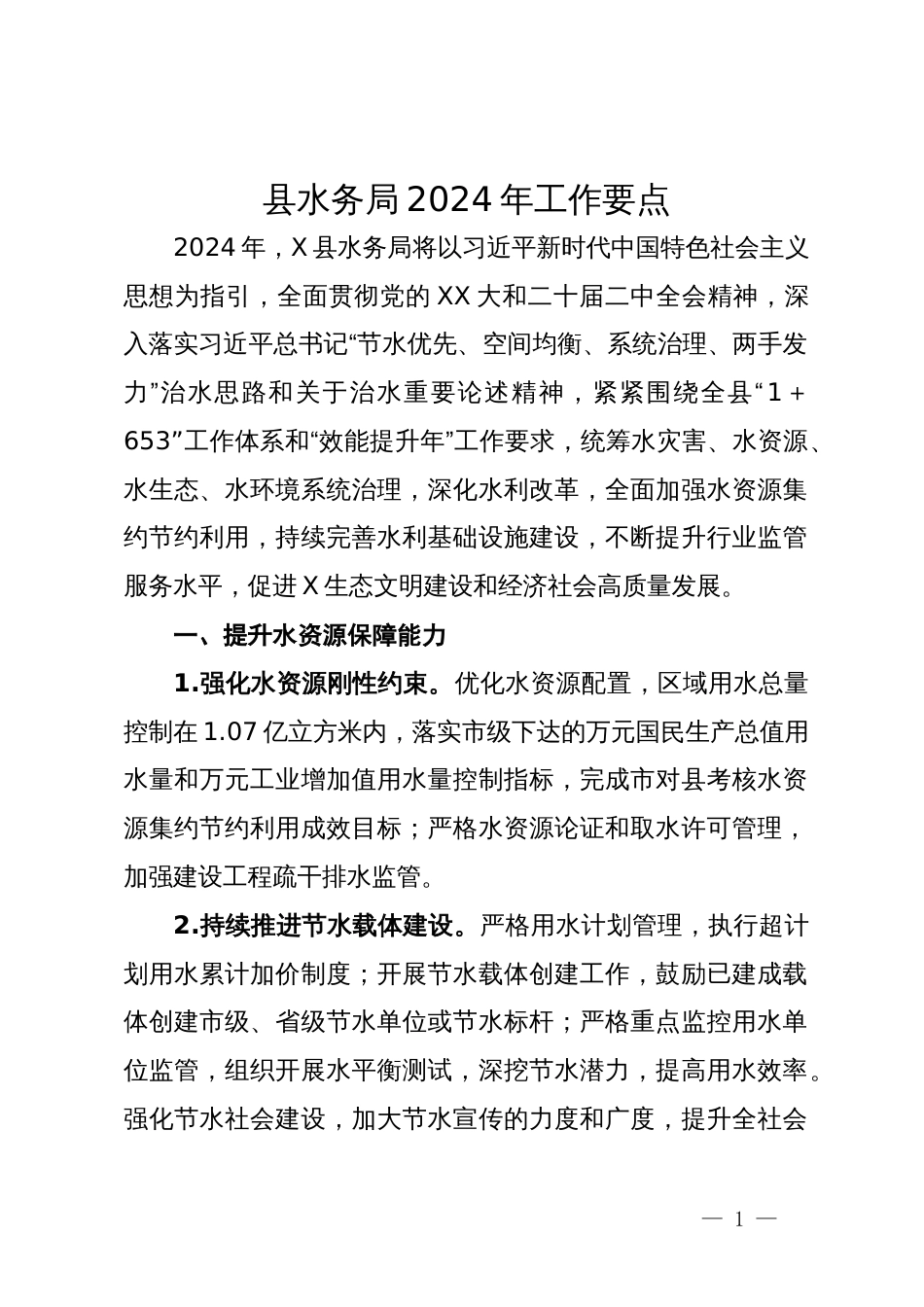 县水务局2024年工作要点_第1页