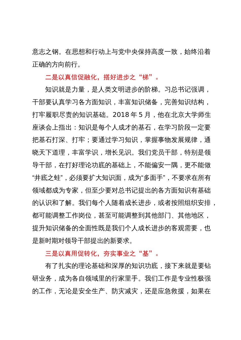 应急管理局局长主题教育研讨发言材料_第2页