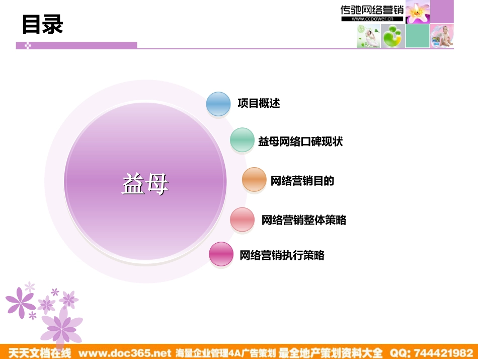 2011社会化媒体网络口碑营销方案_第2页