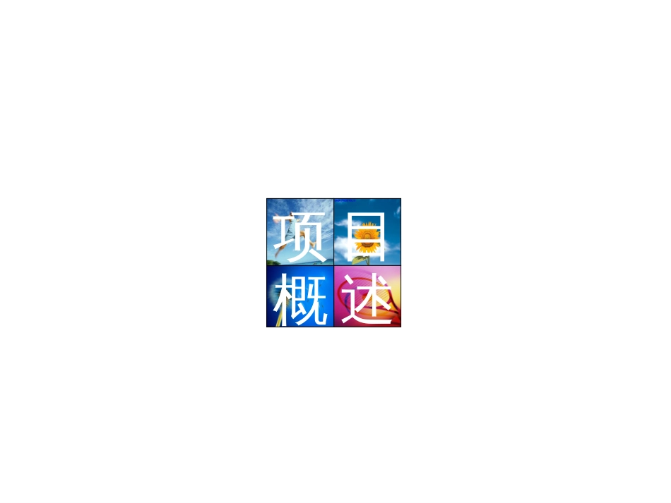 地产活动-远洋传城地产项目全年整合公关推广策略方案-50PPT-2007年_第3页