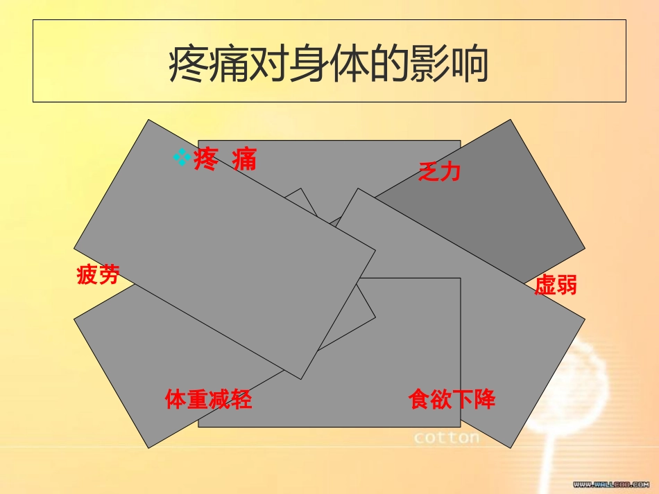 疼痛健康教育[共28页]_第3页