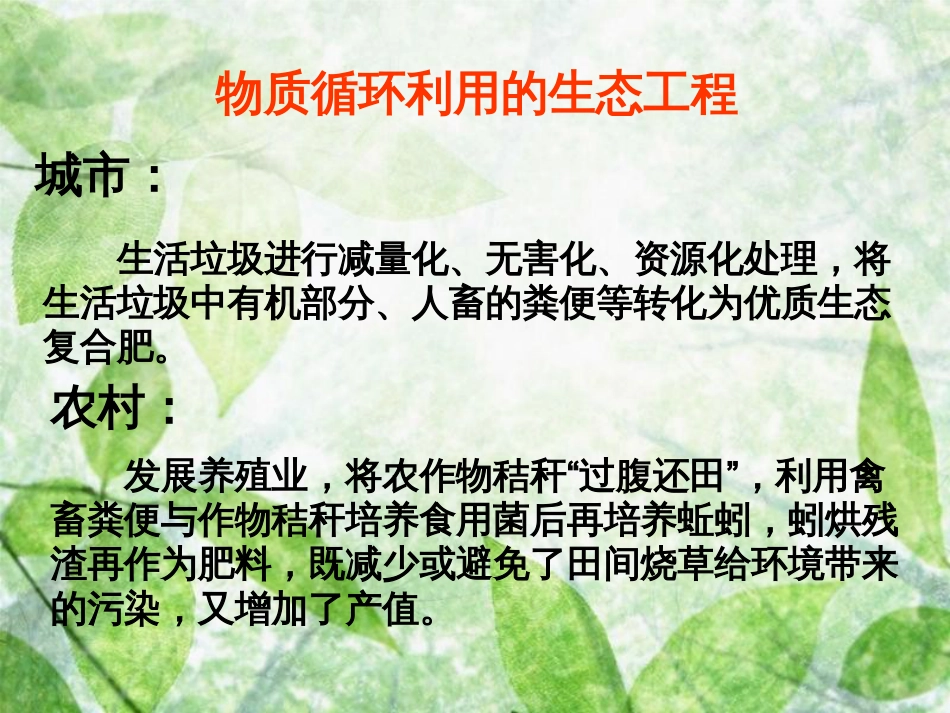生态工程[共20页]_第1页