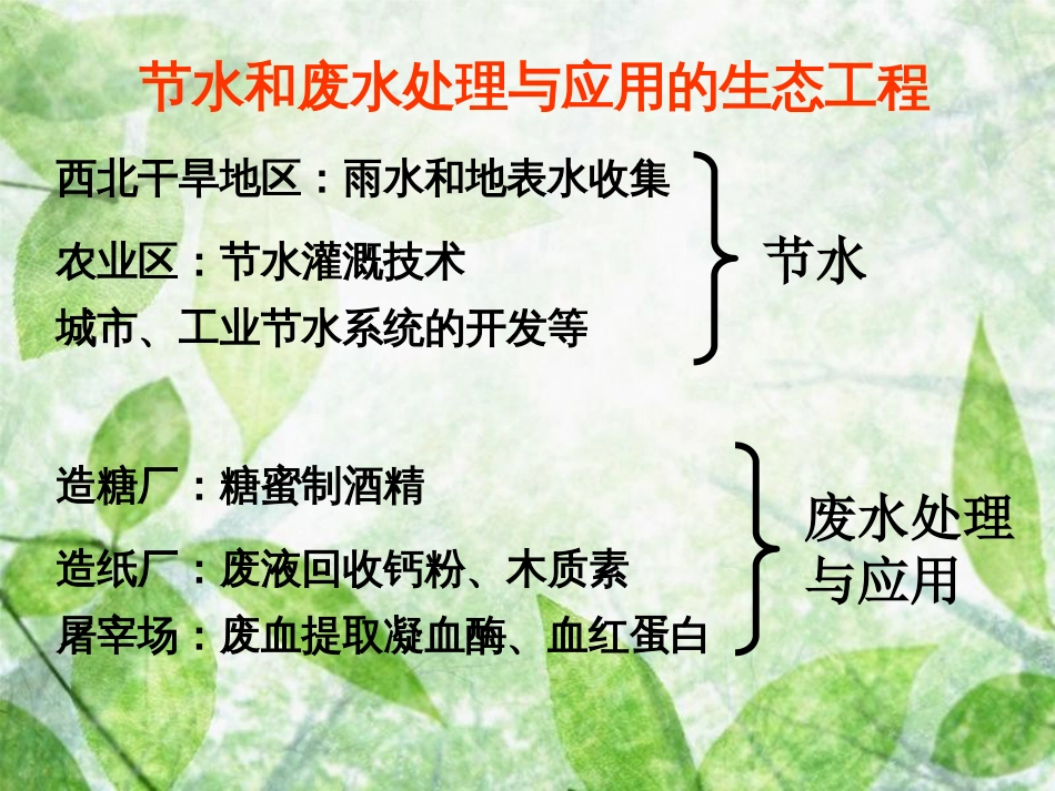 生态工程[共20页]_第2页