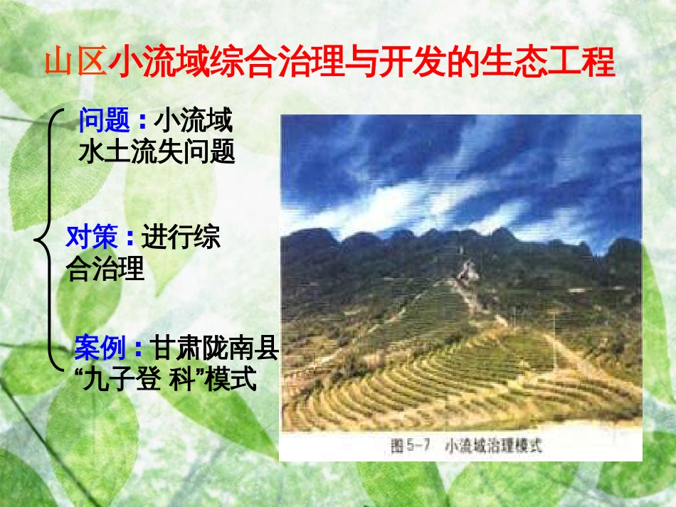 生态工程[共20页]_第3页