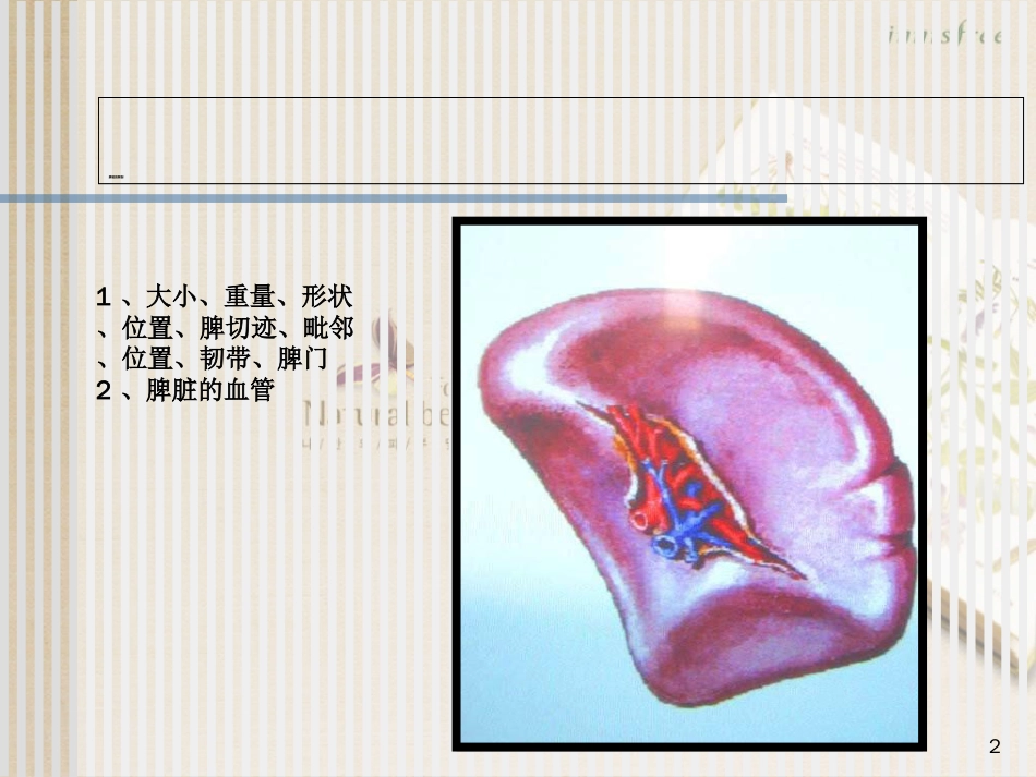 脾脏及脾脏疾病影像学表现[共46页]_第2页