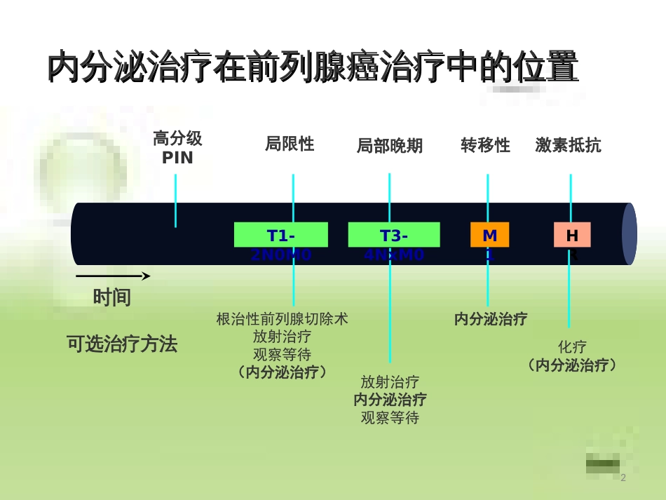 晚期前列腺癌治疗原则[共54页]_第2页