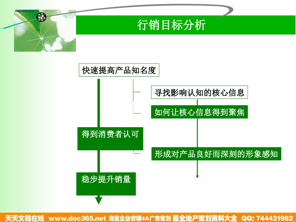 加多宝绿茶2003年春夏推广计划_第3页