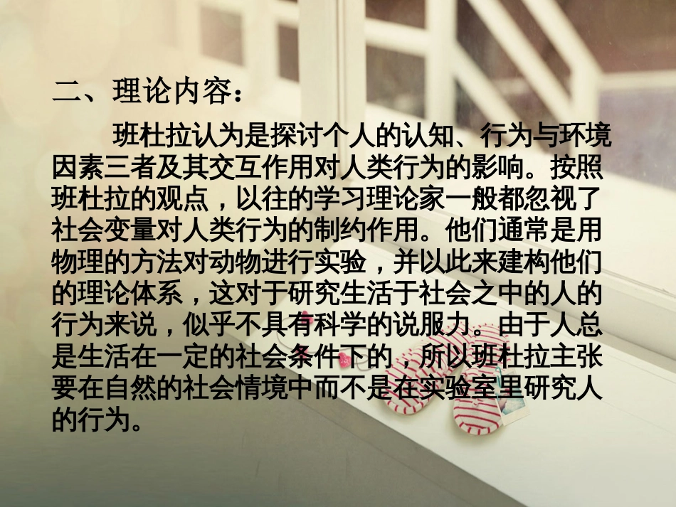 社会学习理论PPT_第3页