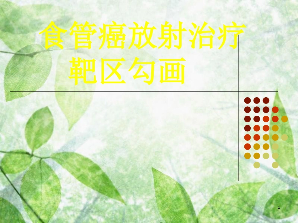 食管癌放射治疗靶区勾画--cui[共40页]_第1页
