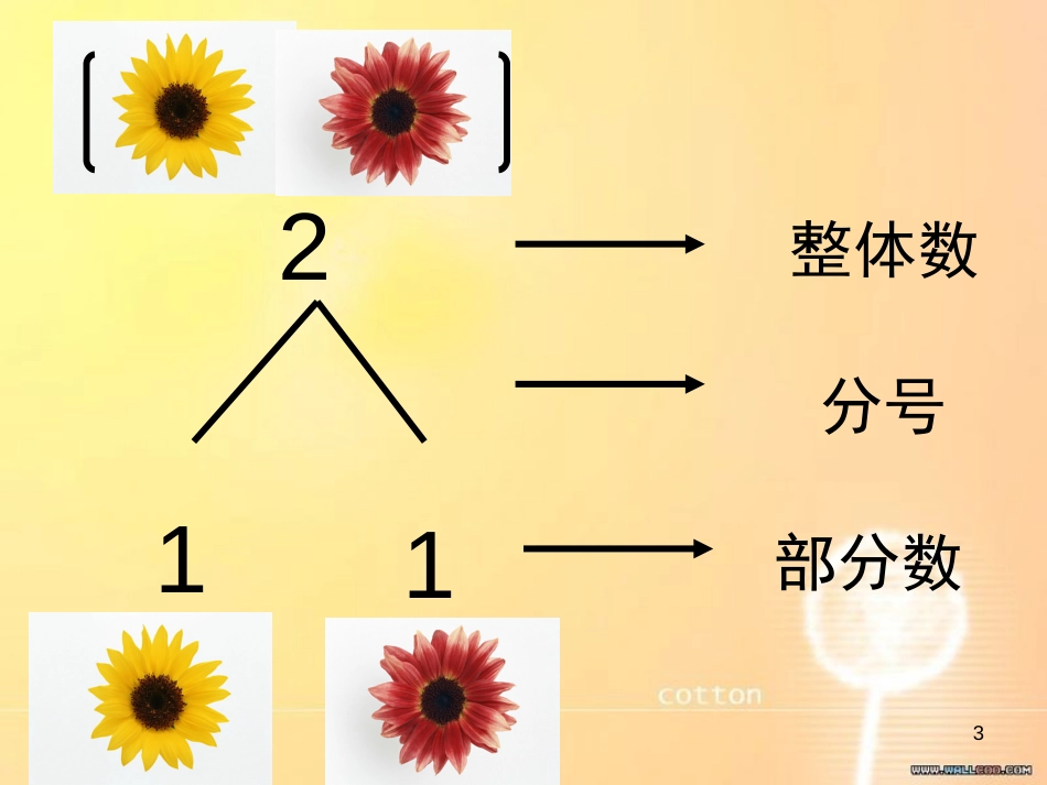 数学 5以内数的组成和分解[共13页]_第3页