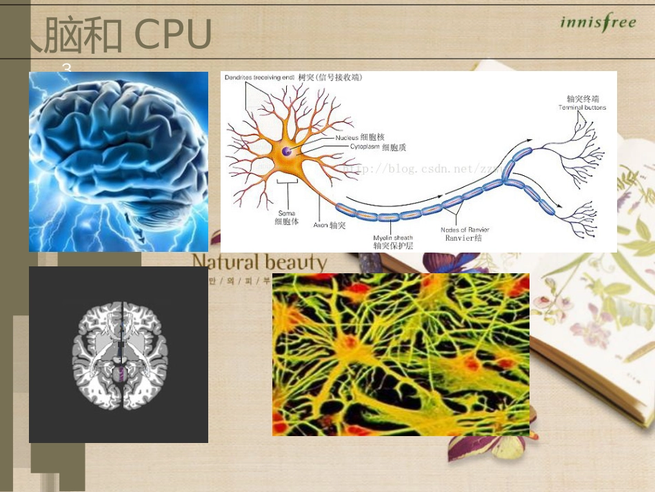 人工神经网络-SVM-深度学习简介[共58页]_第3页