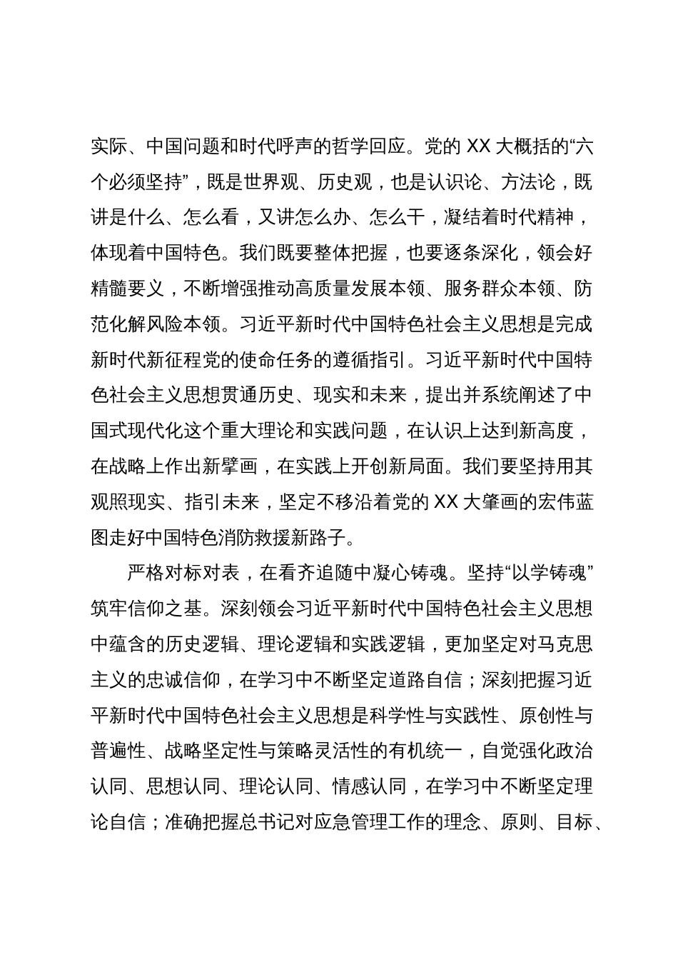 在全市应急管理系统第二批主题教育专题读书班上的研讨发言材料_第2页