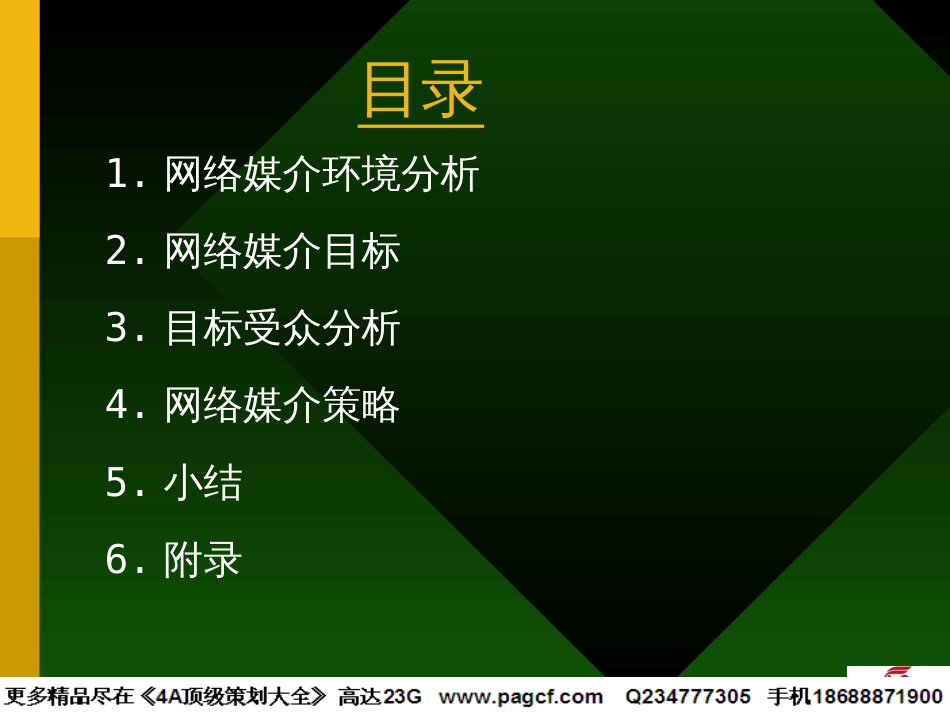 炎黄在线网络媒介计划1_第2页