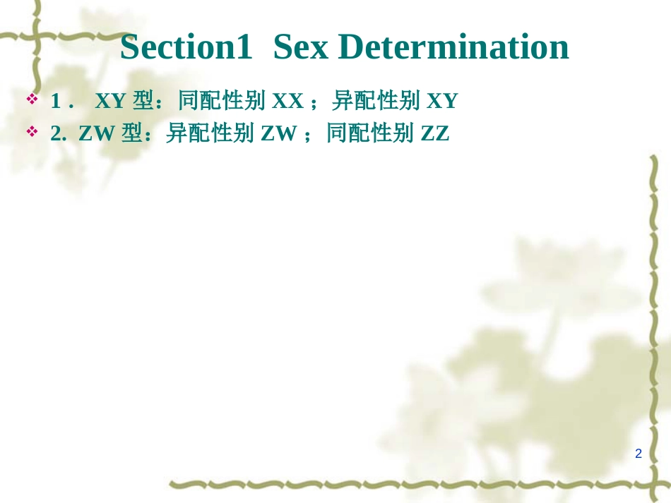 遗传学课件第五章   性别决定和伴性遗传_第2页