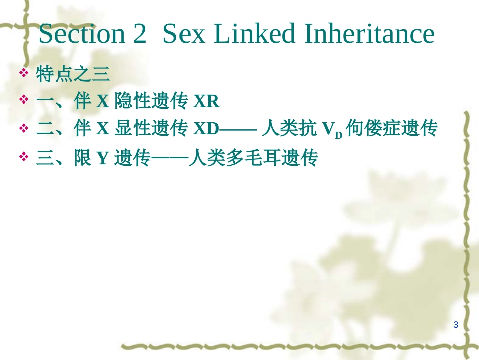 遗传学课件第五章   性别决定和伴性遗传_第3页