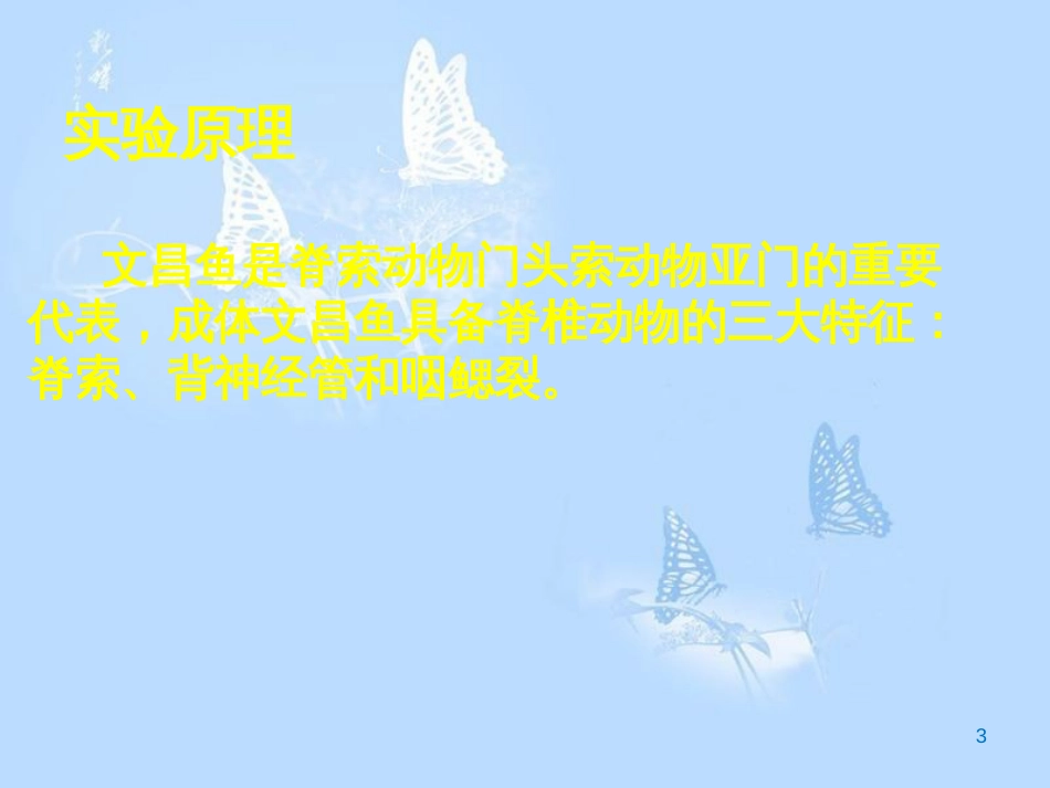 实验-文昌鱼早期胚胎发育及组织结构观察[共25页]_第3页