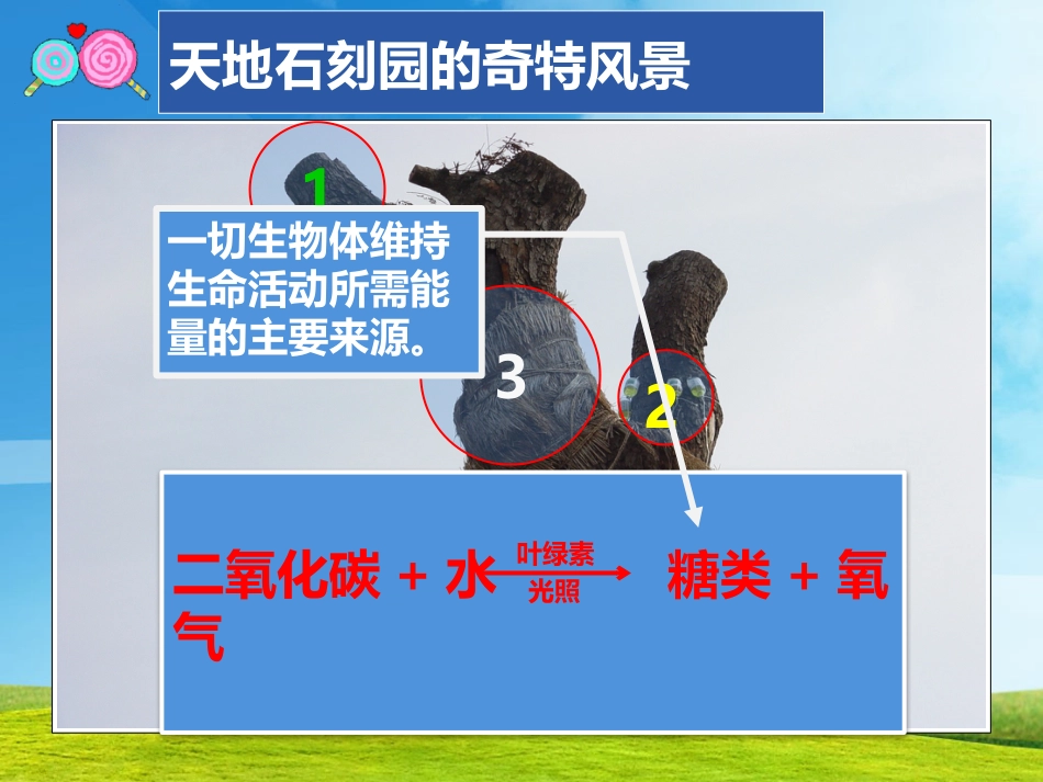 苏教版有机化学基础《糖类》[共20页]_第1页