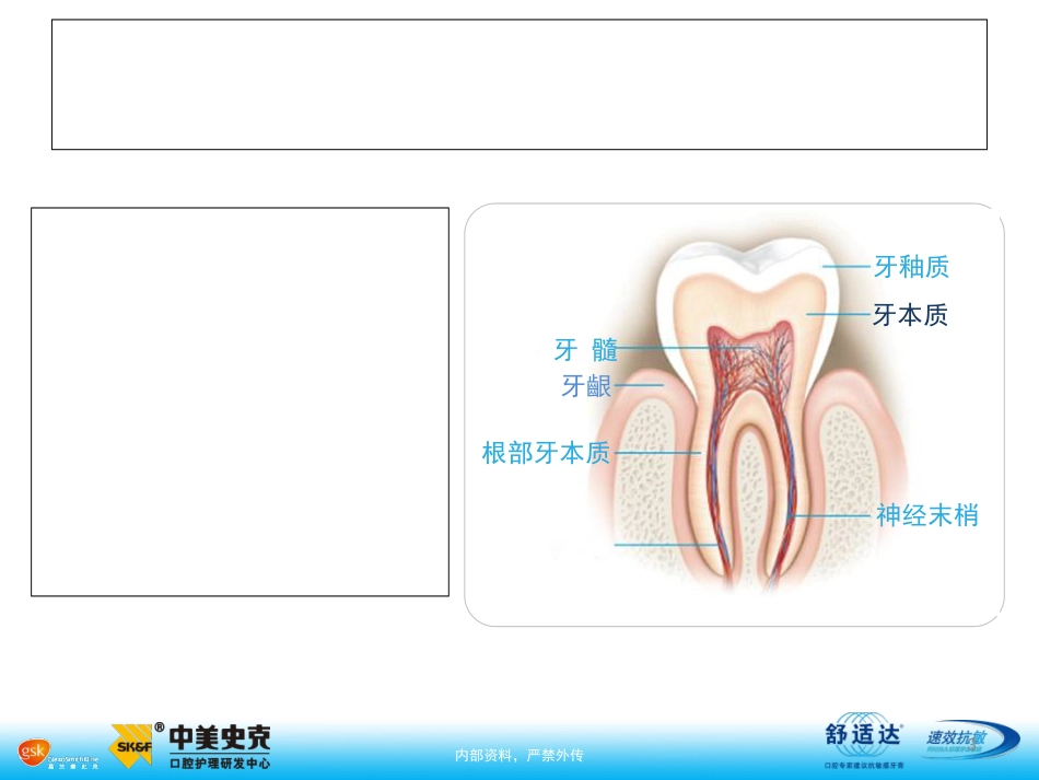 舒适达速效抗敏_第3页