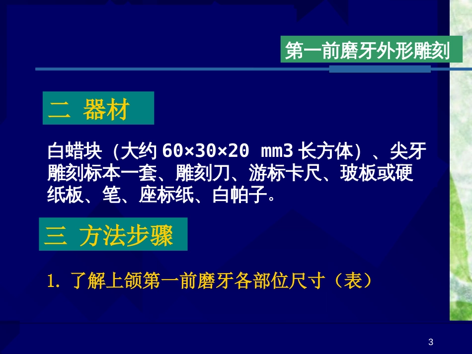 上颌第一前磨牙外形雕刻[共14页]_第3页