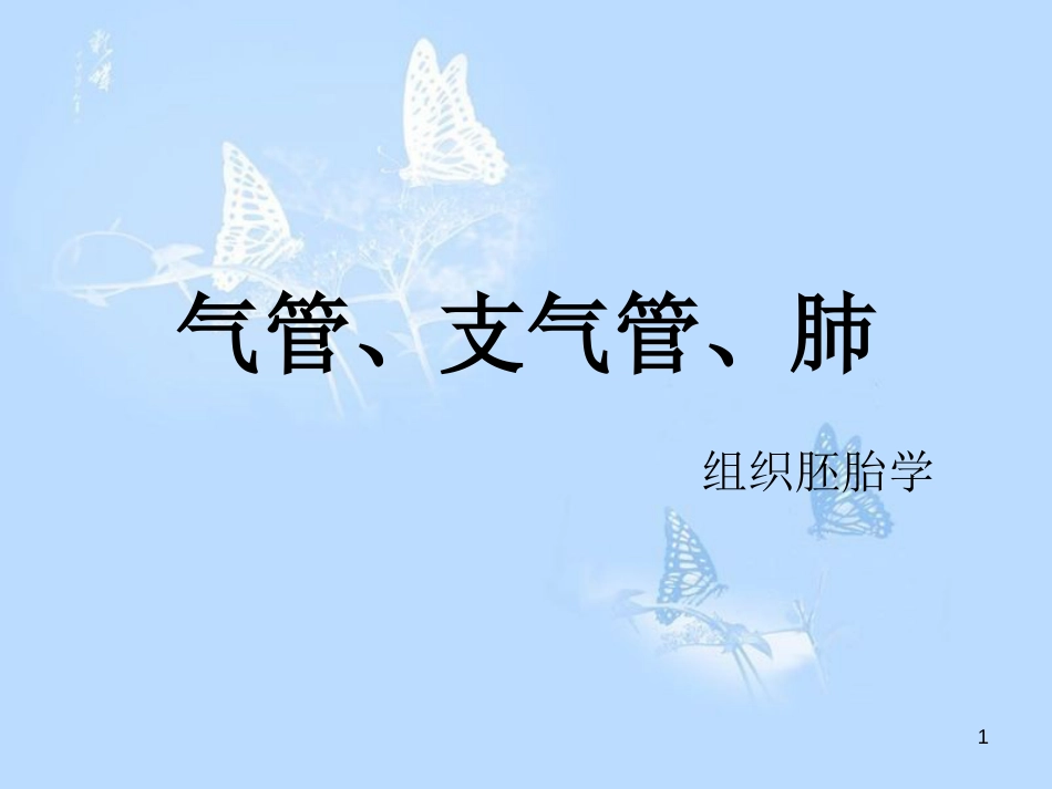 气管、支气管、肺(组织学)[共50页]_第1页