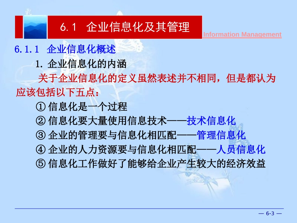 企业信息化建设项目的实施[共70页]_第3页