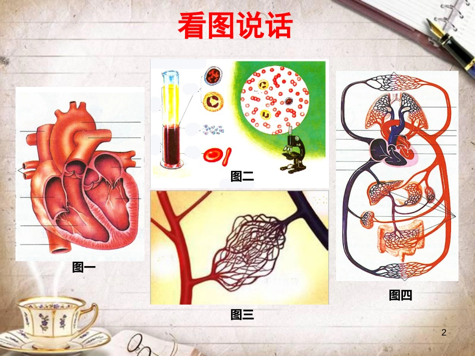 人体内物质的运输(总复习)[共18页]_第2页