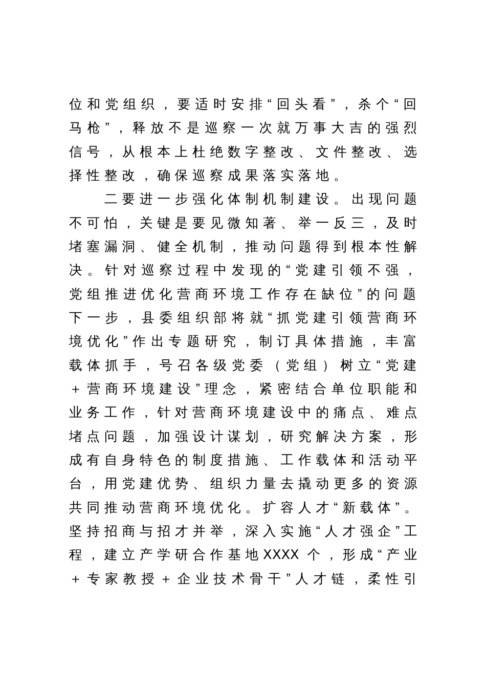 在营商环境专项巡察汇报会上的发言提纲_第2页