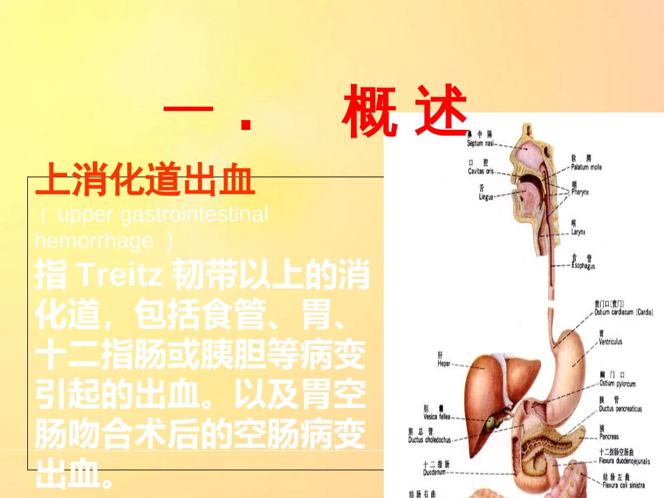 上消化道出血.ppt[共42页]_第2页