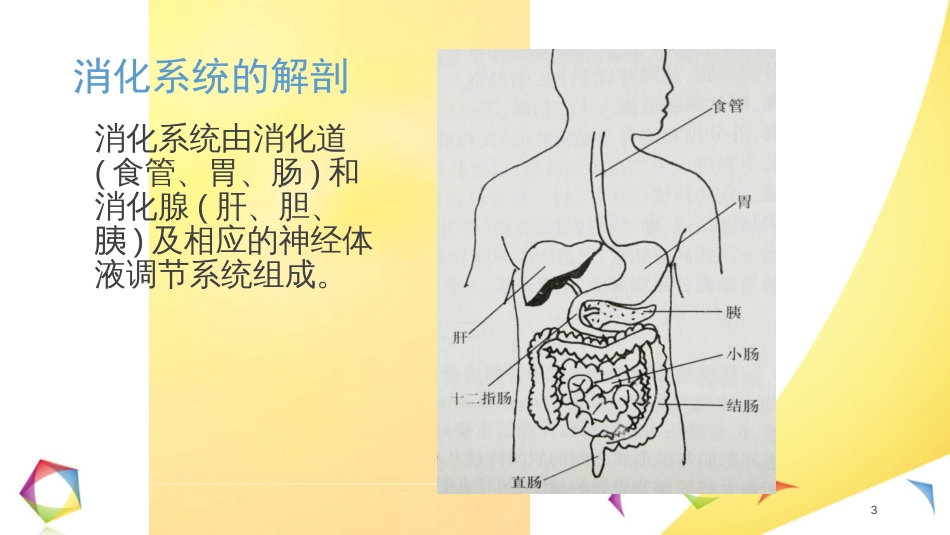 上消化道出血小讲课[共23页]_第3页