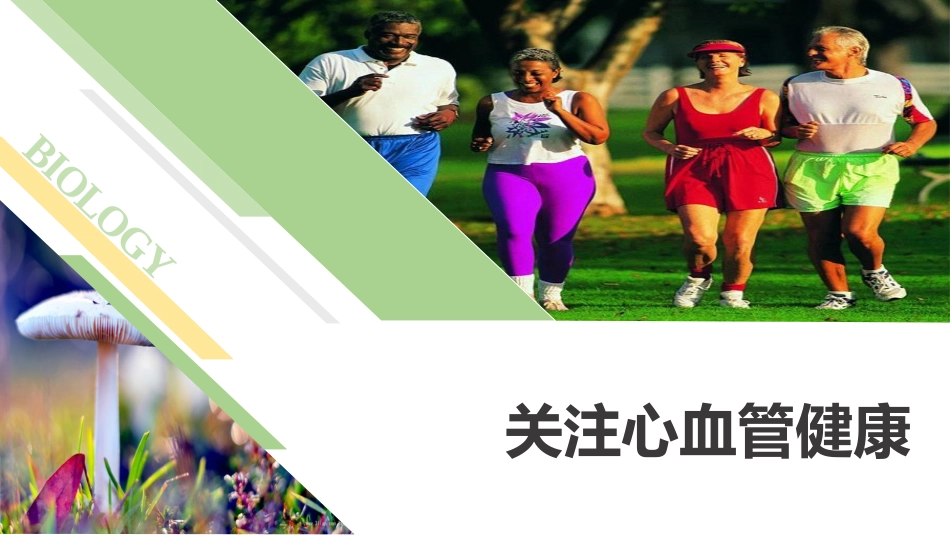 《关注心血管健康》精品课件经典版_第2页