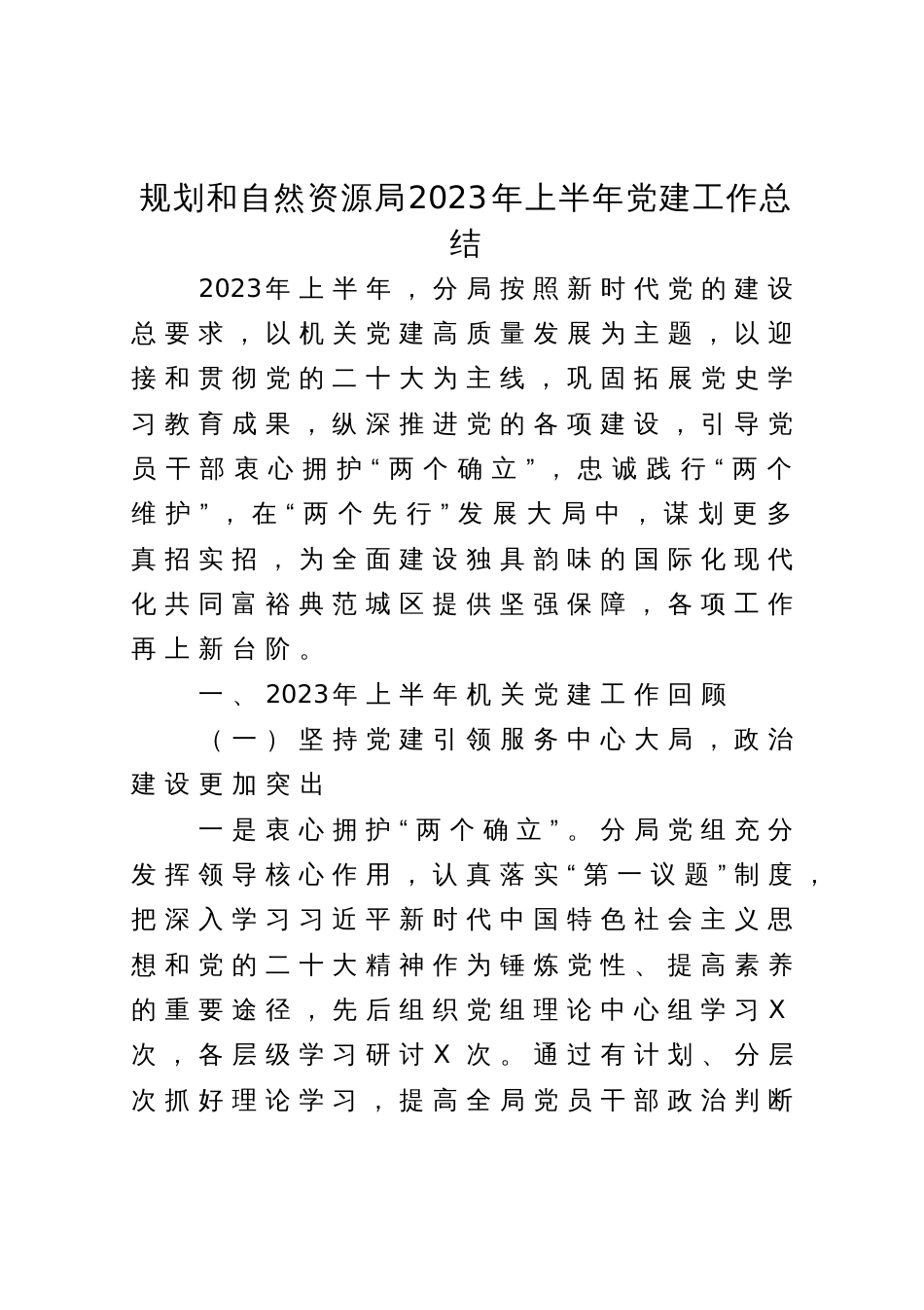 规划和自然资源局2023年上半年党建工作总结_第1页