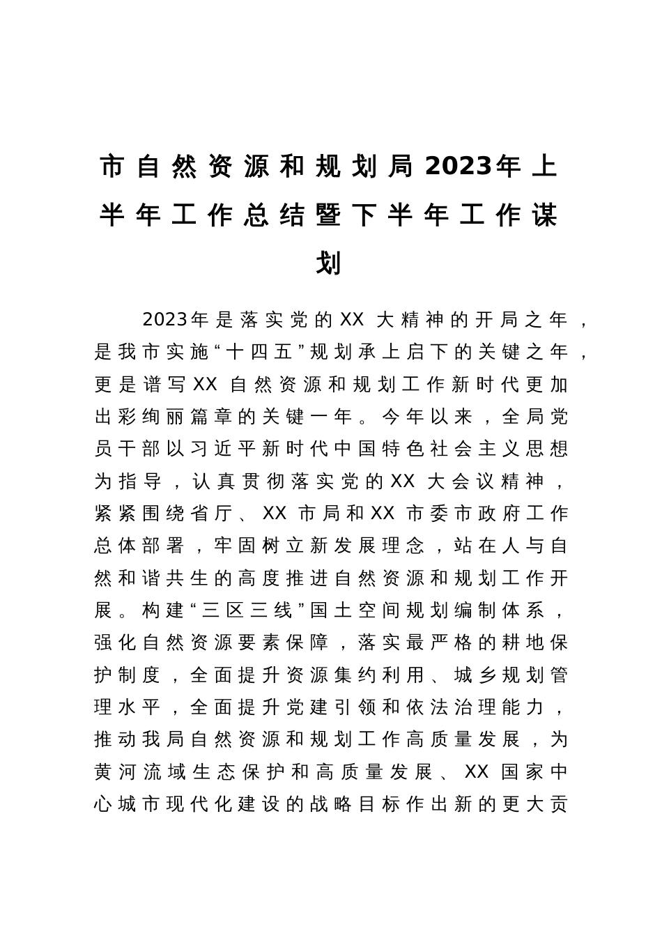 市自然资源和规划局2023年上半年工作总结暨下半年工作谋划_第1页