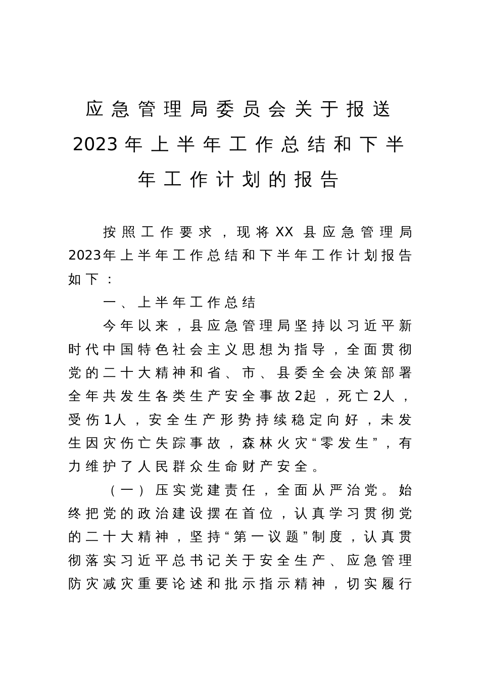 应急管理局2023年上半年工作总结和下半年工作计划_第1页