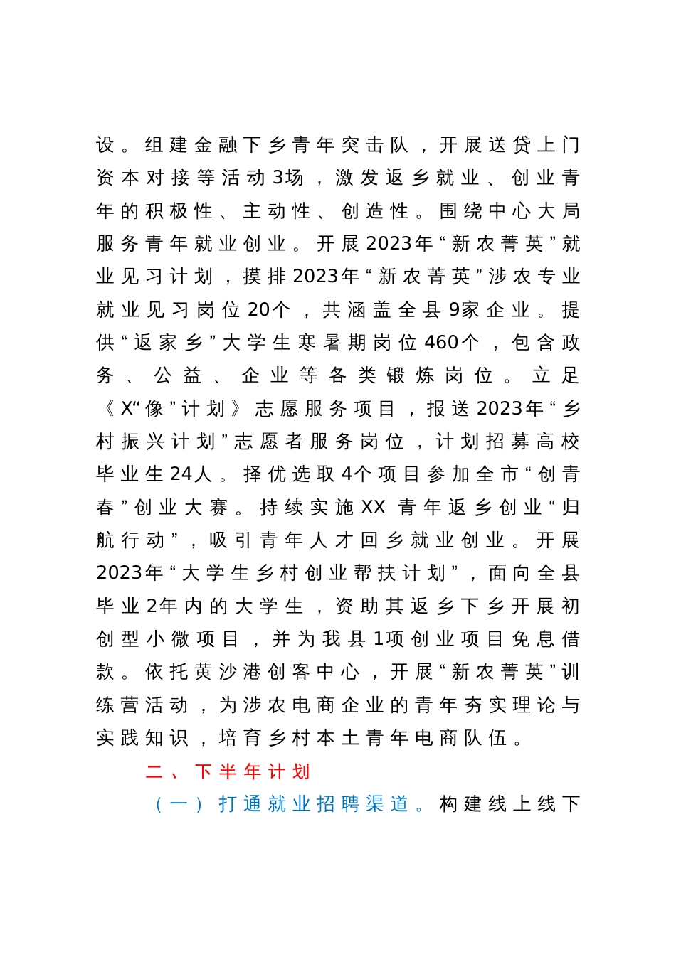 团县委乡村振兴（富民增收）工作计划总结_第2页