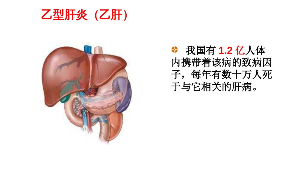 《病毒》PPT课件_第2页