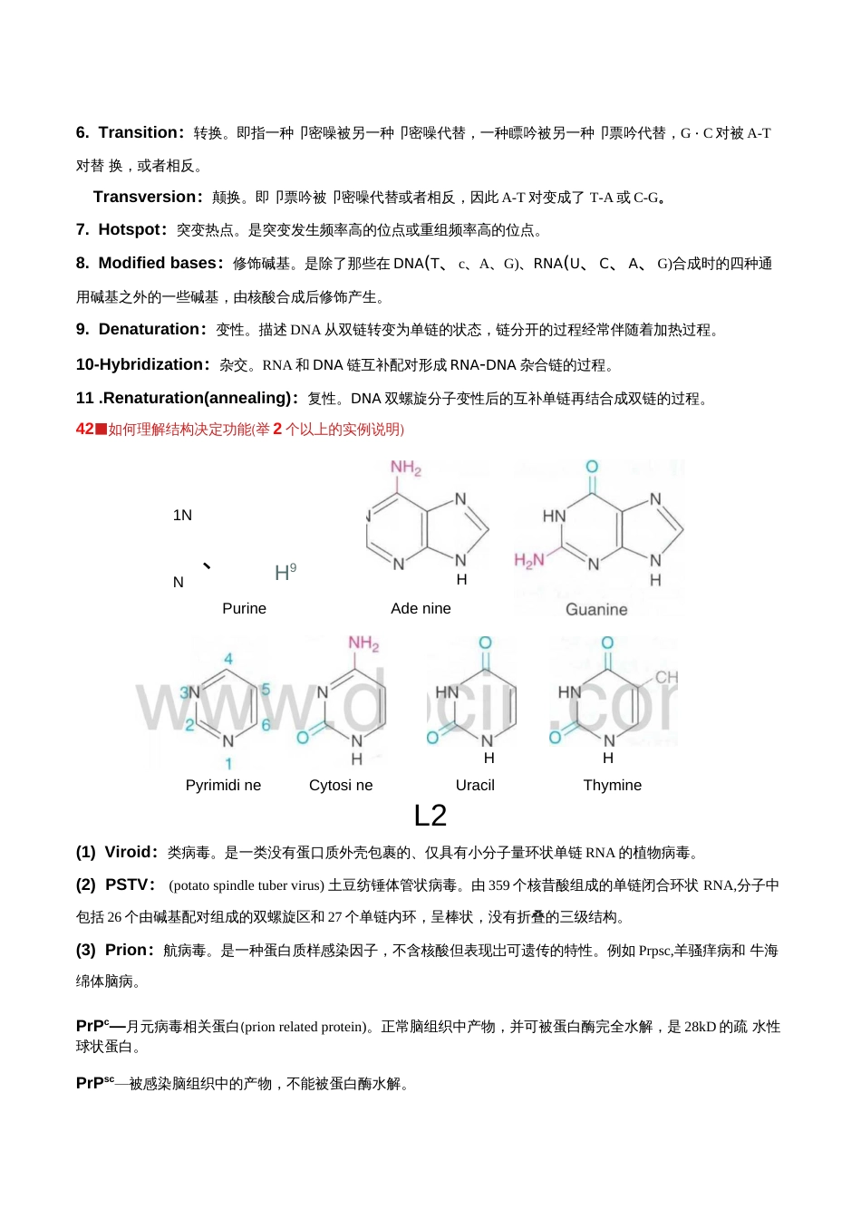 分子生物学L1L6 问题及答案  _第3页