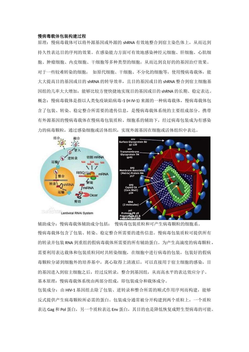 慢病毒载体包装构建过程[5页]_第1页