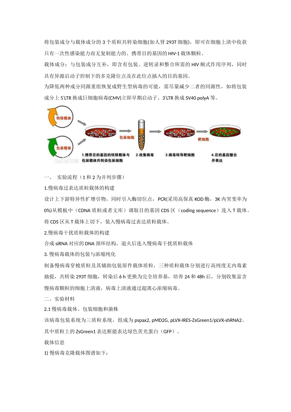 慢病毒载体包装构建过程[5页]_第2页