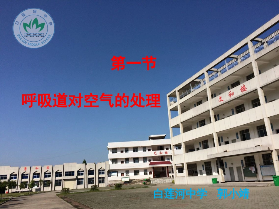 《呼吸道对空气的处理》公开课_第1页