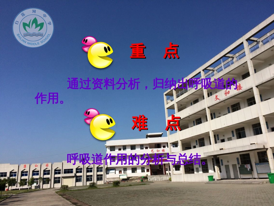 《呼吸道对空气的处理》公开课_第3页