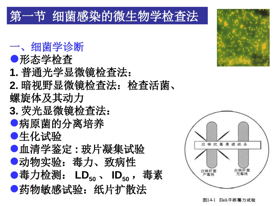 细菌与病毒的病原学检查法[15页]_第2页