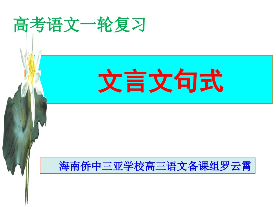 高考语文一轮复习之文言句式(共99页)_第1页