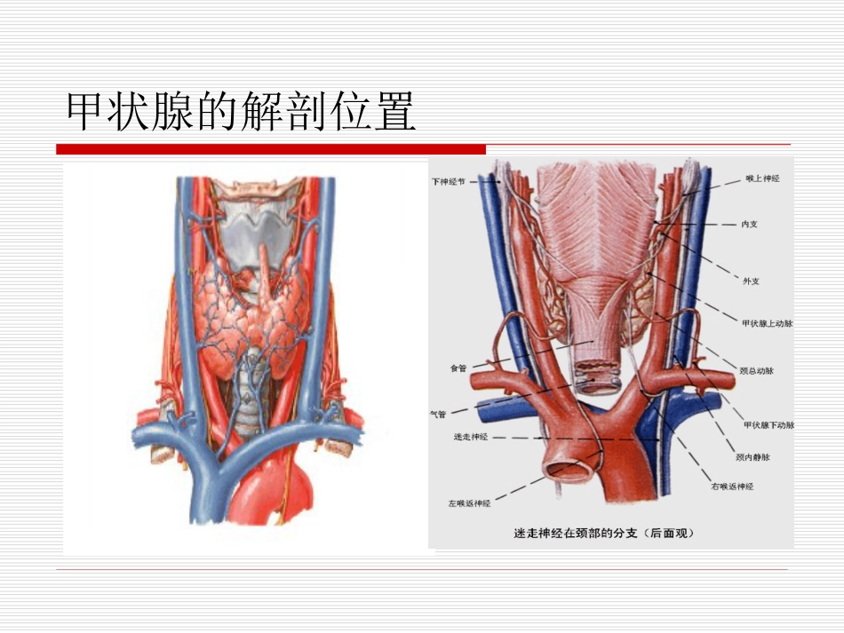 关于甲状腺功能亢进症PPT课件共40页_第3页