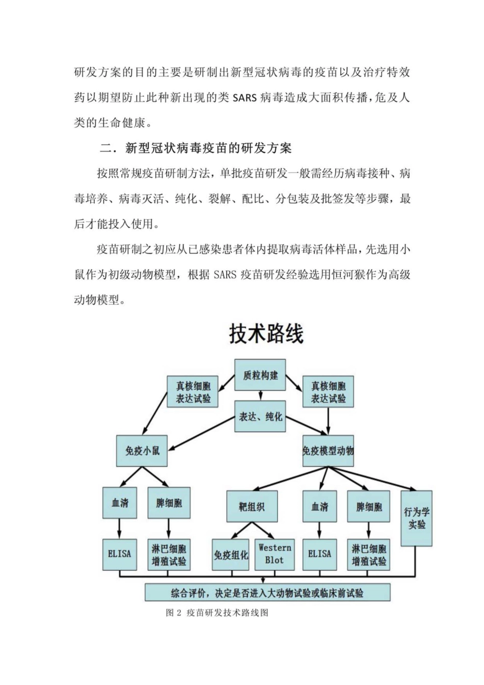 新型冠状病毒疫苗研制及特效药开发_第3页