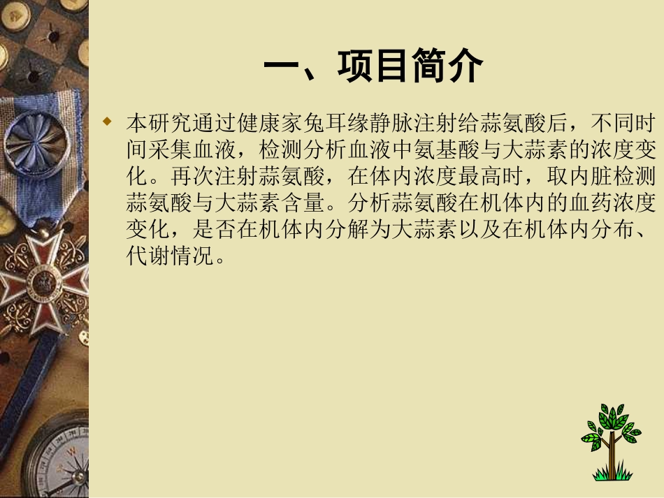 开题报告答辩[17页]_第3页